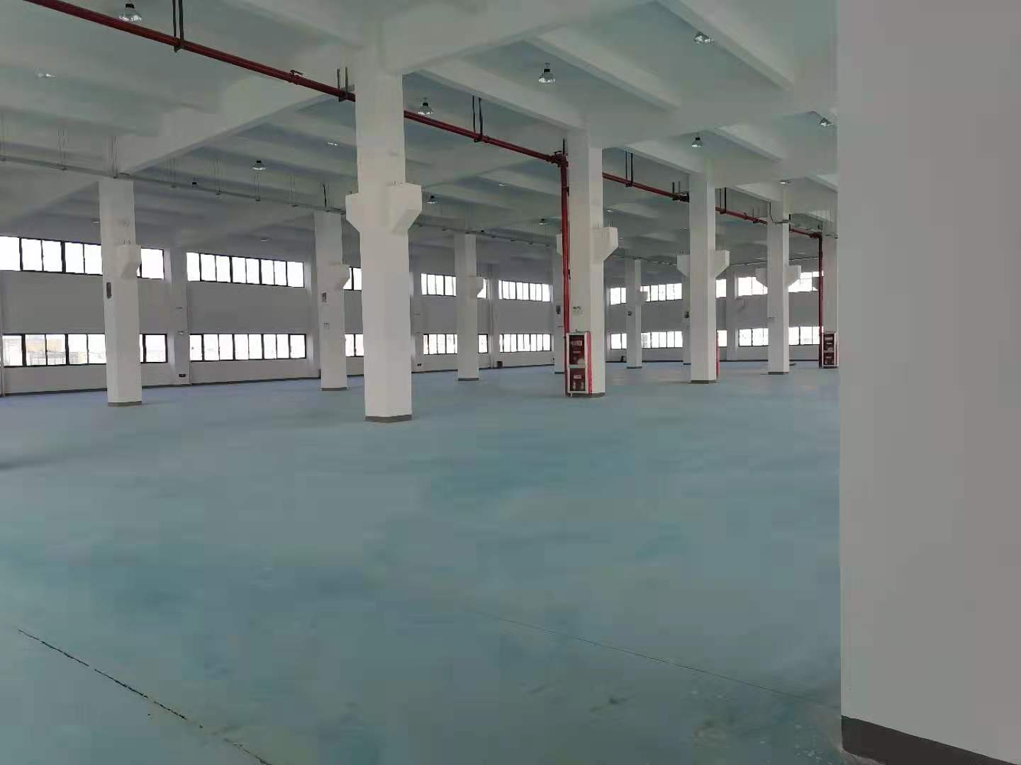 松江新桥20000平方米独栋研发办公厂房租售